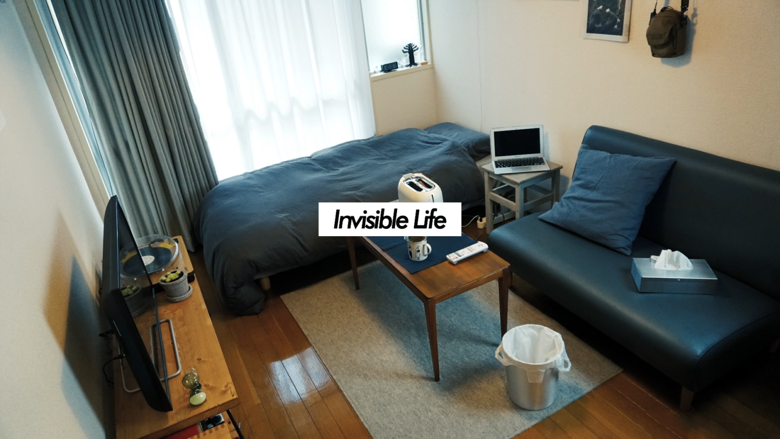 Invisible Life